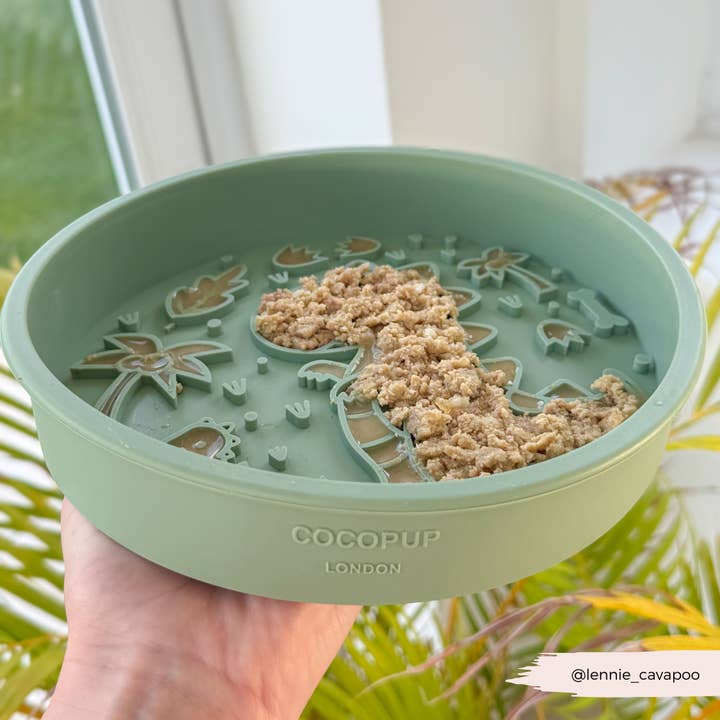 Cocopup London - Wholesale Pet Bowl - Cat/Dog - Silicone Slow Feed Dog Bowl - Dinopaws9