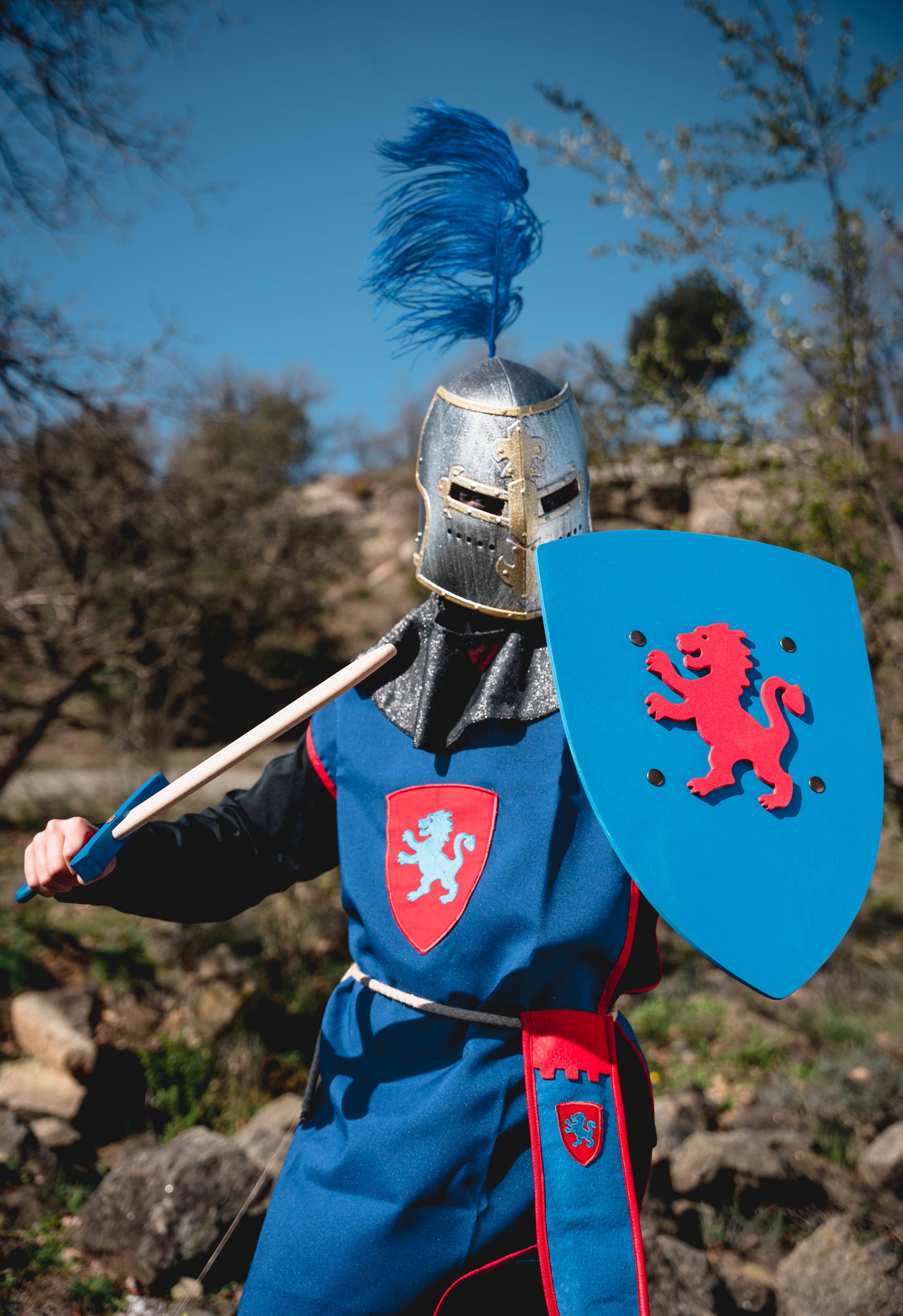 KALID MEDIEVAL - Vente Jouet classique – enfant - BOUCLIER KAMELOT BLEU AVEC LION S - ST5333