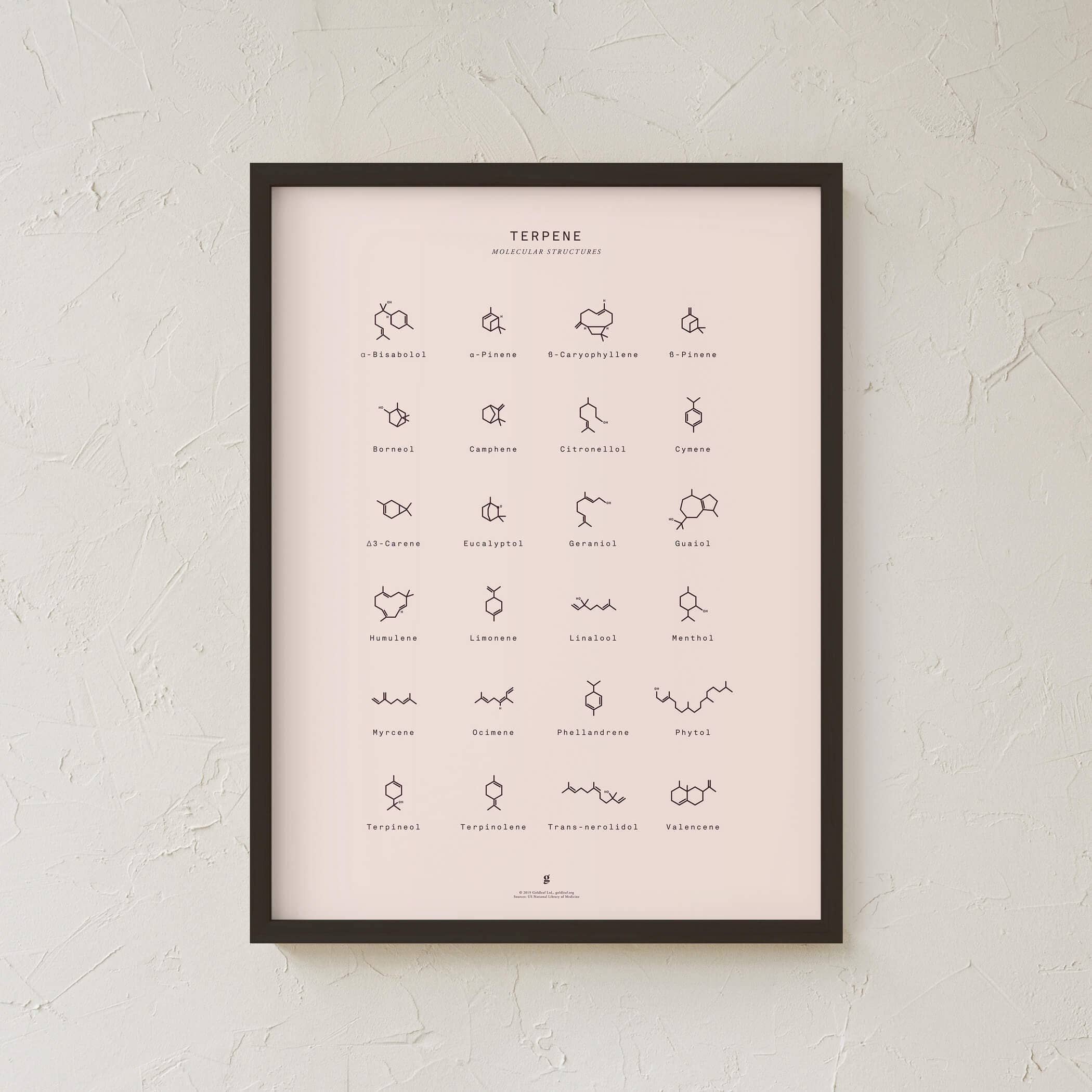 Goldleaf – Großhandel Kunstdruck – Diagramm mit molekularen Terpenstrukturen drucken6