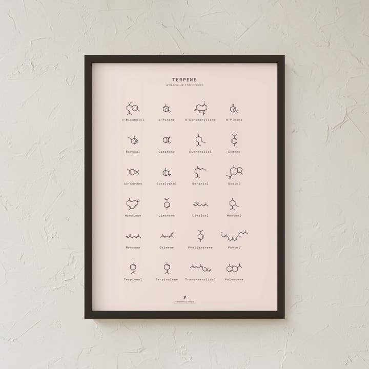 Goldleaf – Großhandel Kunstdruck – Diagramm mit molekularen Terpenstrukturen drucken6