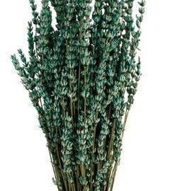 CAPELLINA - Venta al por mayor Flores secas/prensadas - RAMILLETE DE LAVANDA MORADA