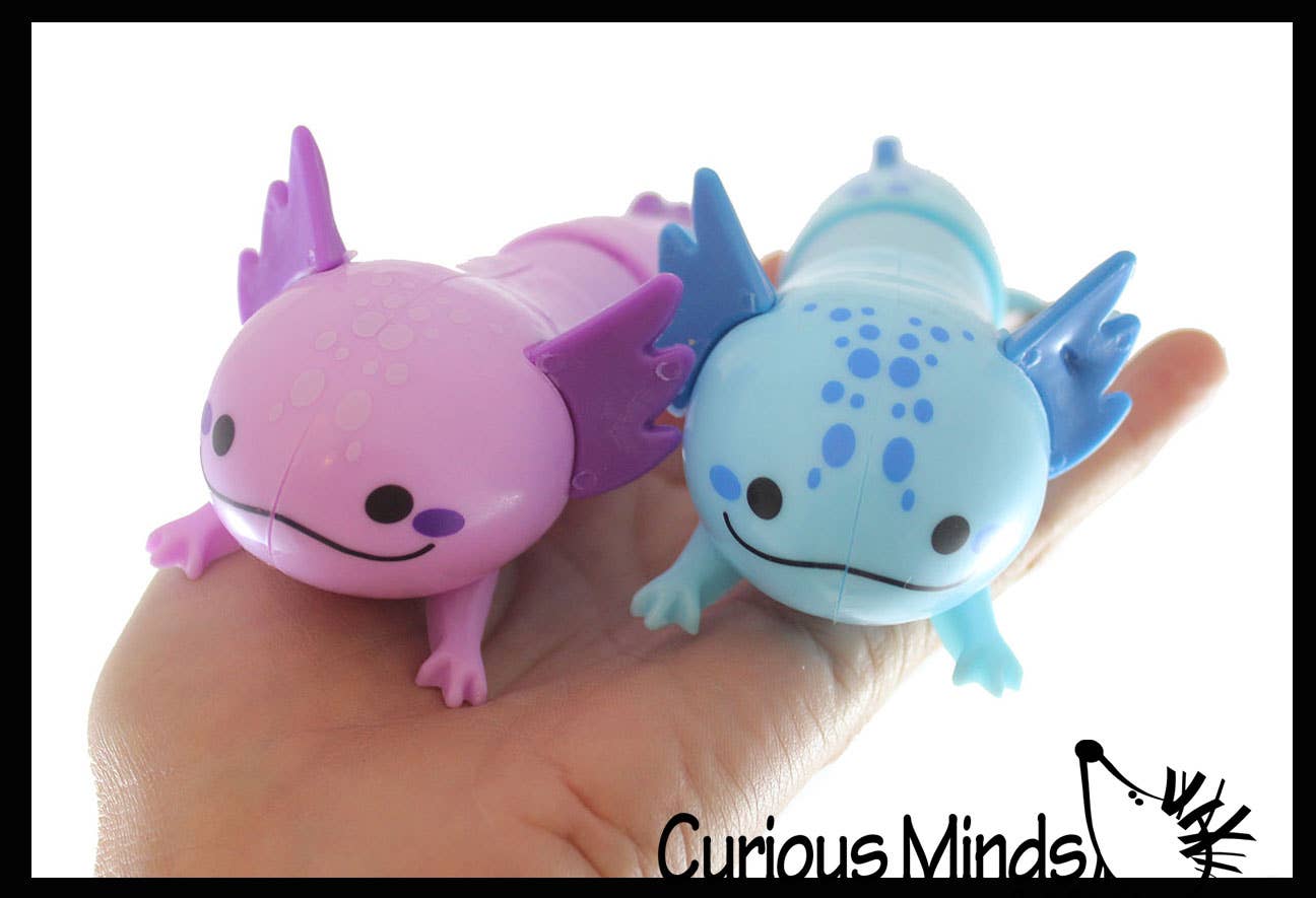 Curious Minds Toys – Brinquedo Fidget - Crianças por atacado – 1 Giro Axolotl Pull e Pop Snap Animal Expandindo Fidget14