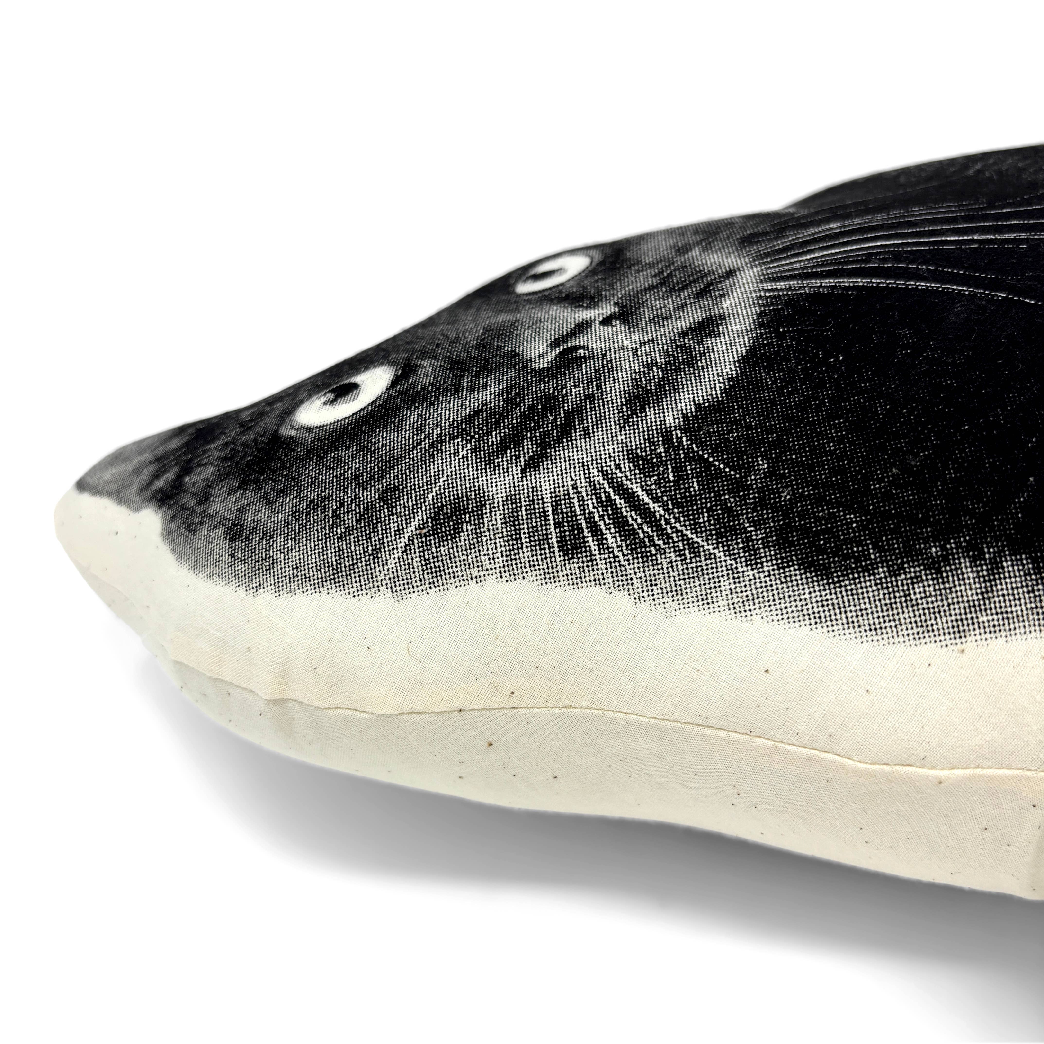 Broderpress – wholesale Throw/decorative pillow – Black Cat Pillow2