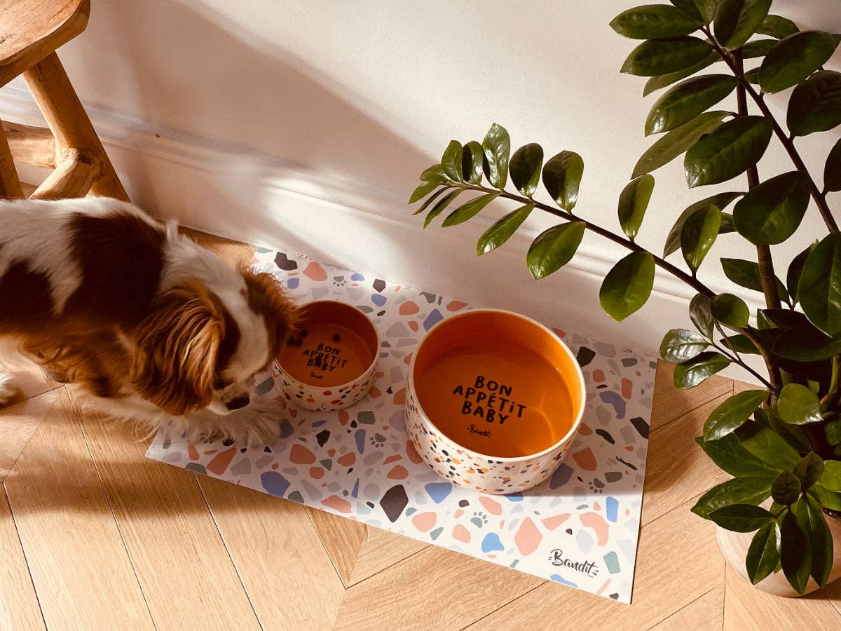 French Bandit - Wholesale Pet Bowl - Cat/Dog - Dog & cat bowl4