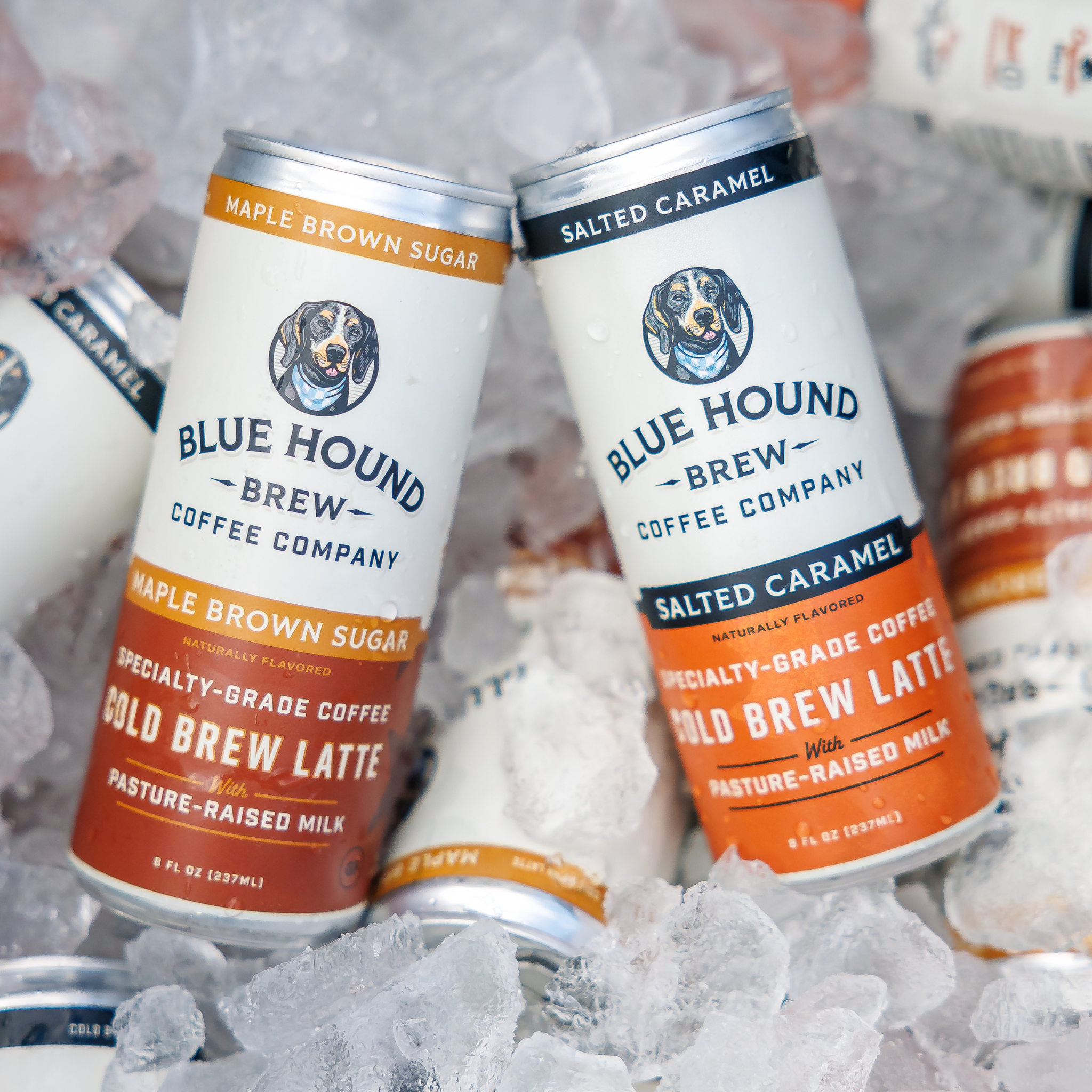 Blue Hound Brew - Wholesale Iced Coffee/Cold Brew - Salted Caramel Cold Brew Latte3
