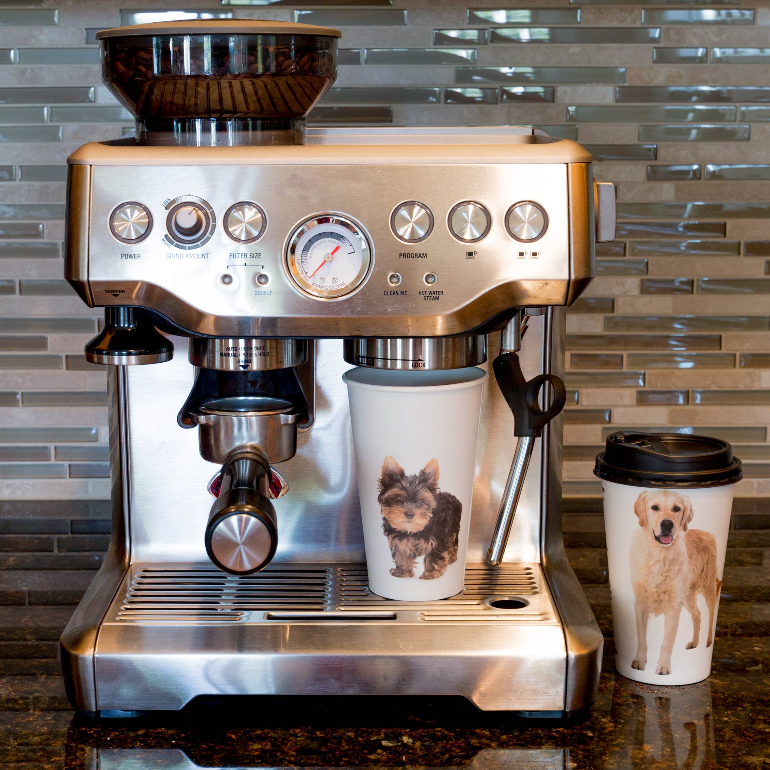 Youngever - Vente Gobelets jetables - Youngever 72 ensembles de tasses à café jetables avec couvercles3