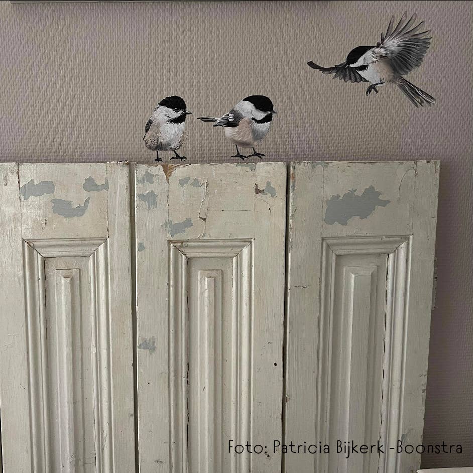 MYRTE – Decalque de janela/parede por atacado – Adesivo de Parede Ilustrações de Chapins7