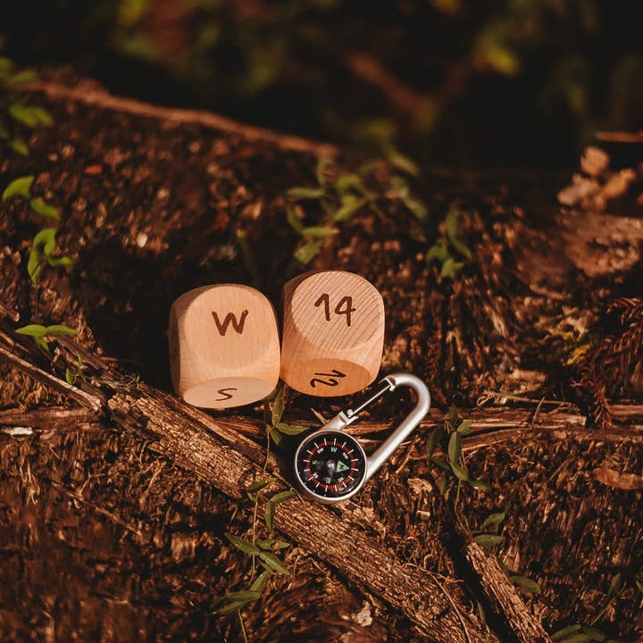 Our Earth Life - Wholesale Dice - Compass Dice1