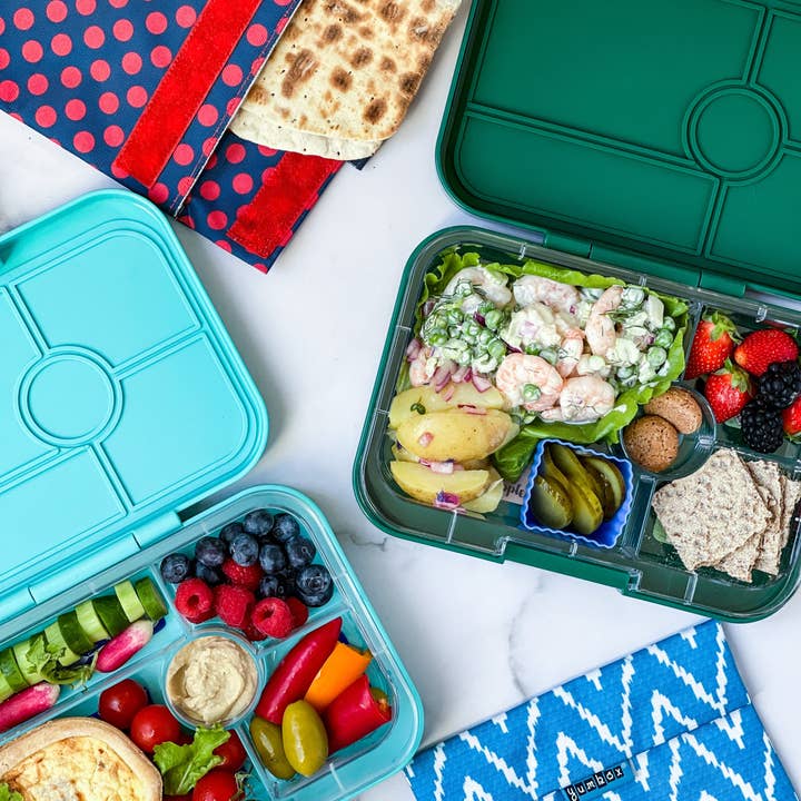 Yumbox - Wholesale Lunch Bag/Box - Kids - Leakproof Yumbox Tapas Bento Lunch Box - Palm Green - 4 Compartment with Lime Tray -Large Size