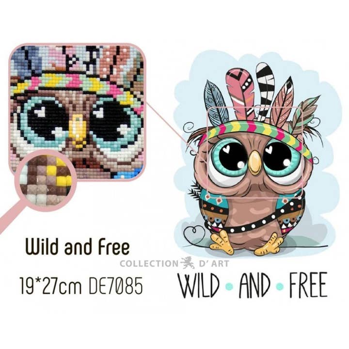 RTO&Collection D'Art (RTO Baltic OU) - Wholesale DIY craft kit - Diamond Painting Kit Wild and Free Owl DE70853
