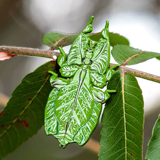 Walking Leaf Insect Enamel Pin for wholesale by The Roving House