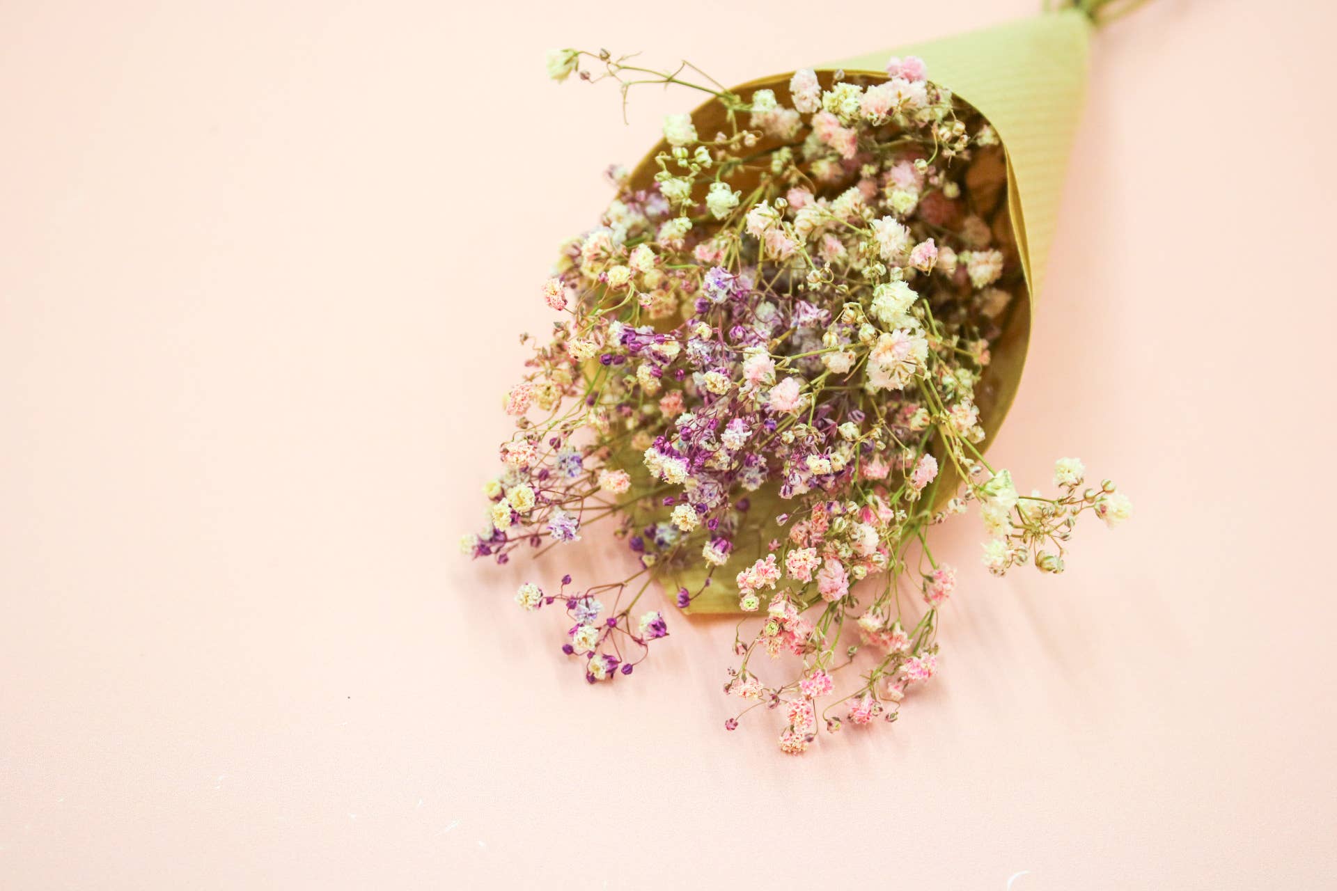 Wildestdreams.flowers – wholesale Torkade/pressade blommor – Torkad rosa och lila brudslöja mixad med gipsört