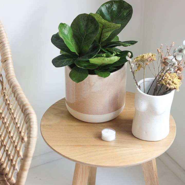 Sprout & About - Wholesale Plant Pot - Mini Blush Pink Ceramic Planter Pot with Crackle Glaze8