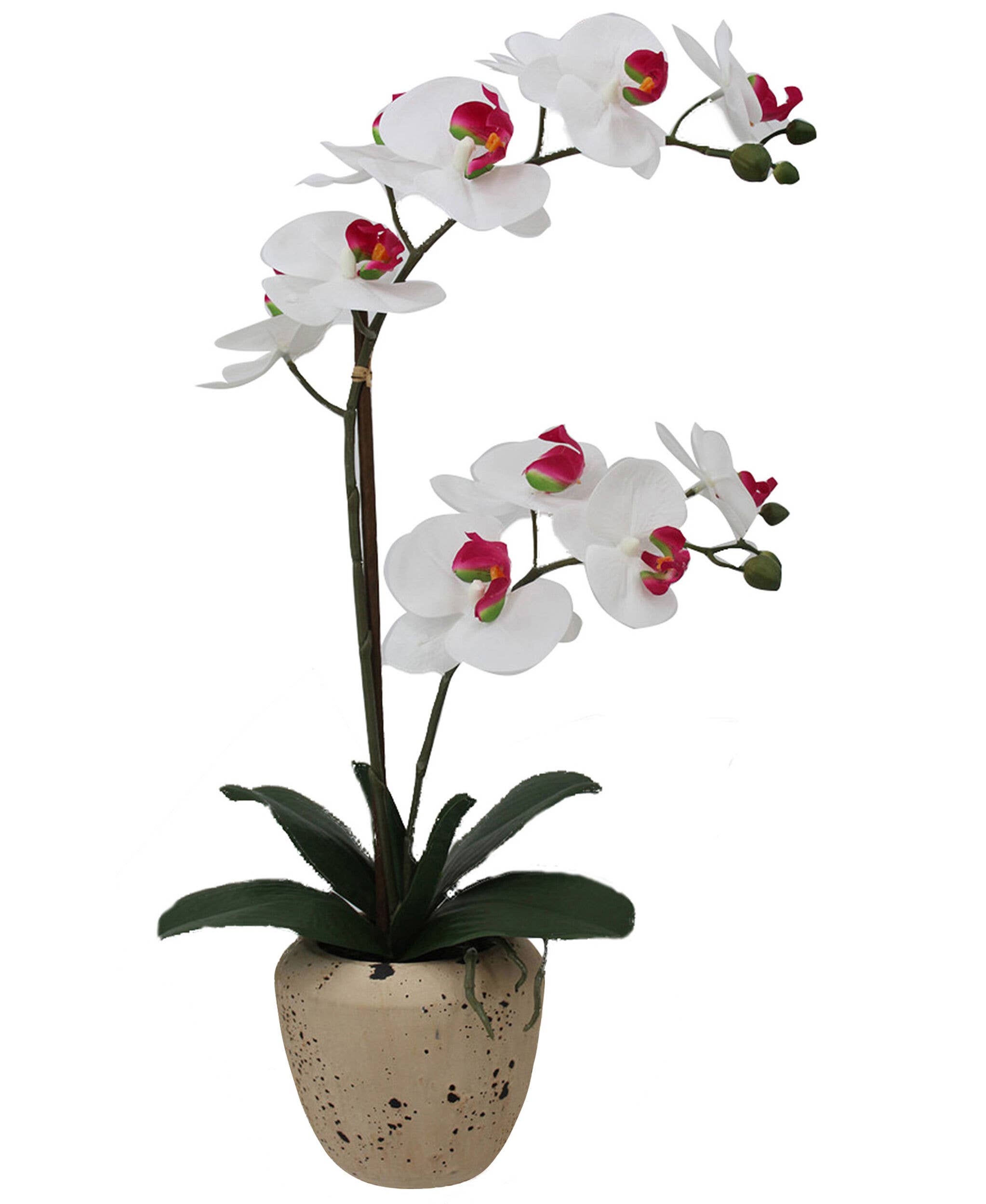 White Pink Mikasa 22in White/Pink Artificial Orchid in Speckled Rounded for wholesale on Faire0