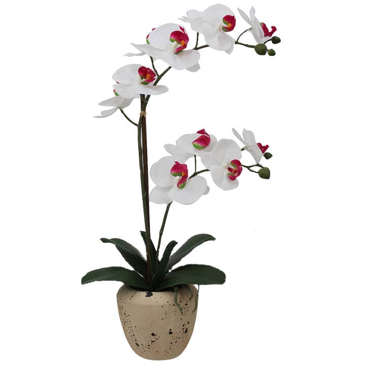 Mikasa 22in White/Pink Artificial Orchid in Speckled Rounded for wholesale by Mikasa Home Accents