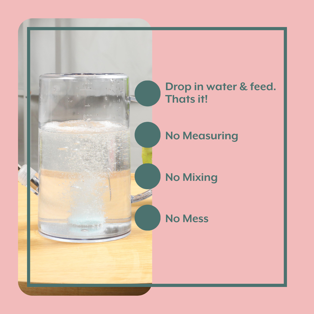 Instant Plant Food - Wholesale Fertilizer - Best Houseplant Fertilizer - Instant Plant Food Tablets2