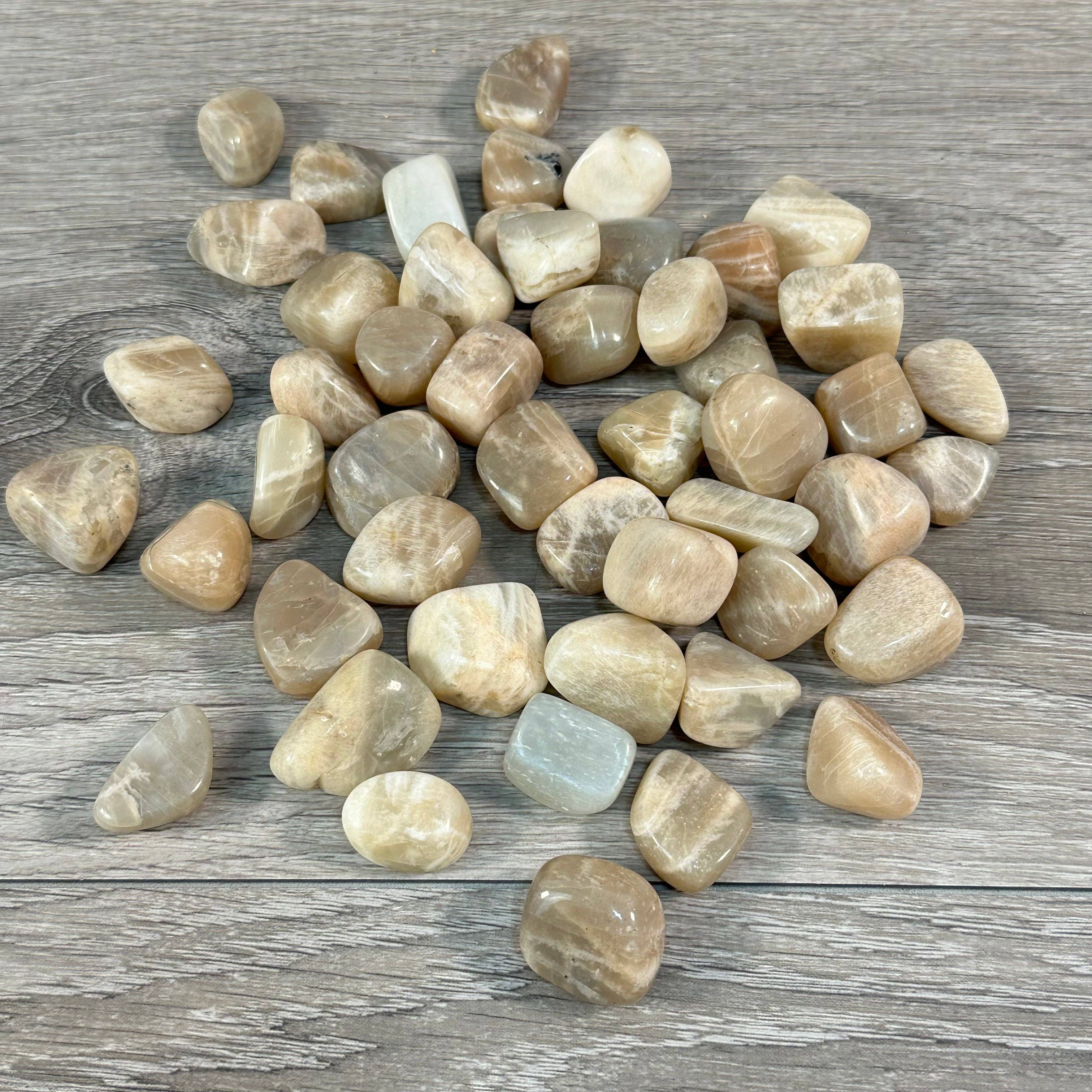 Keystone Crystals - Vente Pierre et cristal de spiritualité - Pierres roulées en pierre de lune – Lot en vrac de 1 lb pour les détaillants de cristaux et les boutiques de cadeaux2