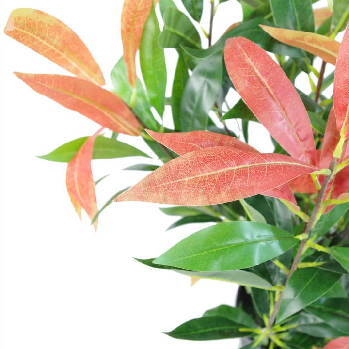 Leaf Design UK LTD - Wholesale Artificial plant - Ficus Tree Plant 80cm Red Green Mini Bush Colourful2