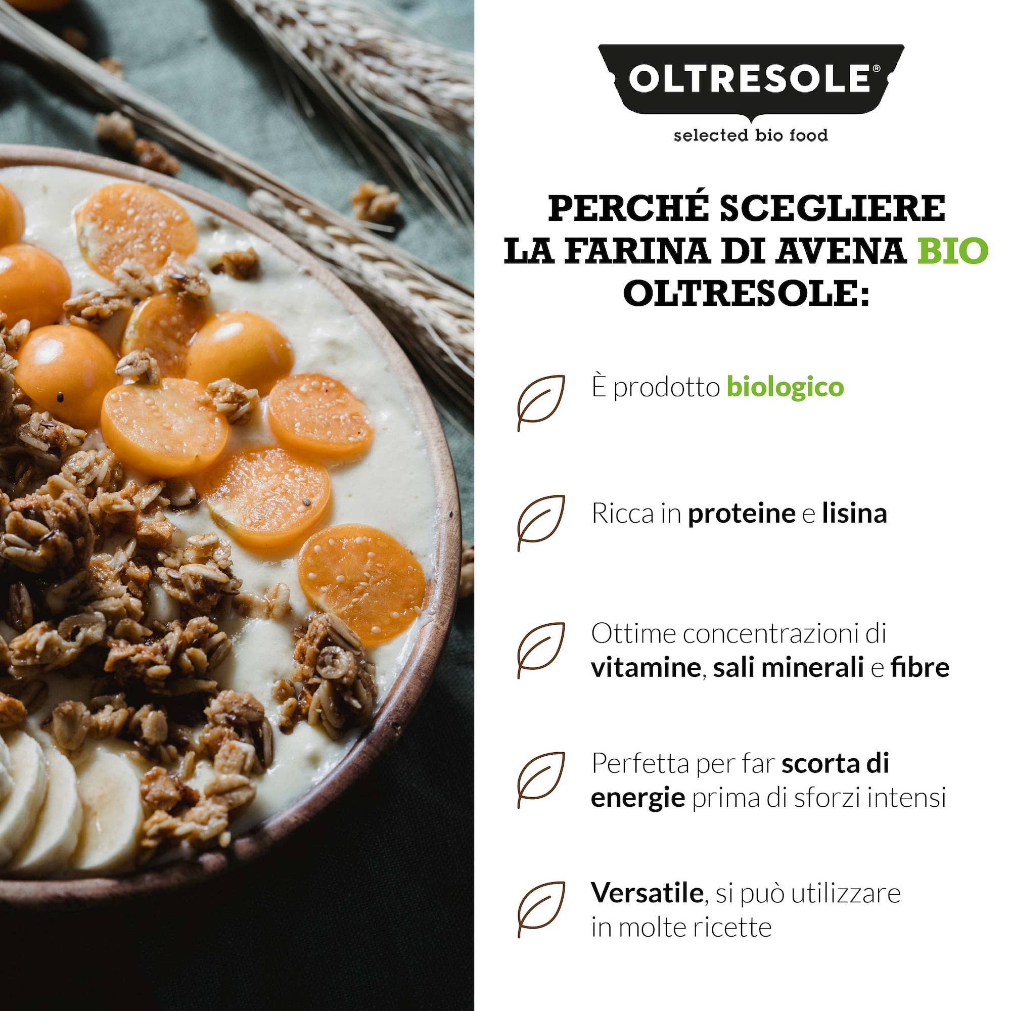 Oltresole - Wholesale Gluten-Free Flour - ORGANIC WHOLE OAT FLOUR 1 Kg4
