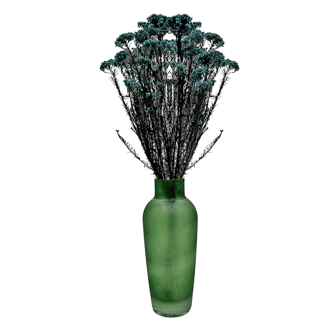 2626 Designs – Engroshandel Tørrede/pressede blomster – Konserveret hirse og risblomst - Immortelle og Ozothamnus blomster25