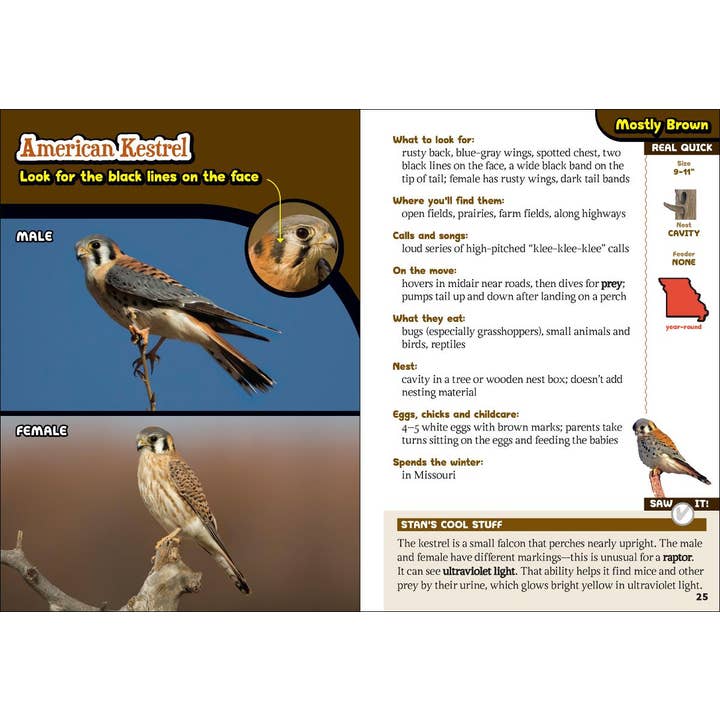 AdventureKEEN - Wholesale Book - Kids - Kids' Guide to Birds of Missouri