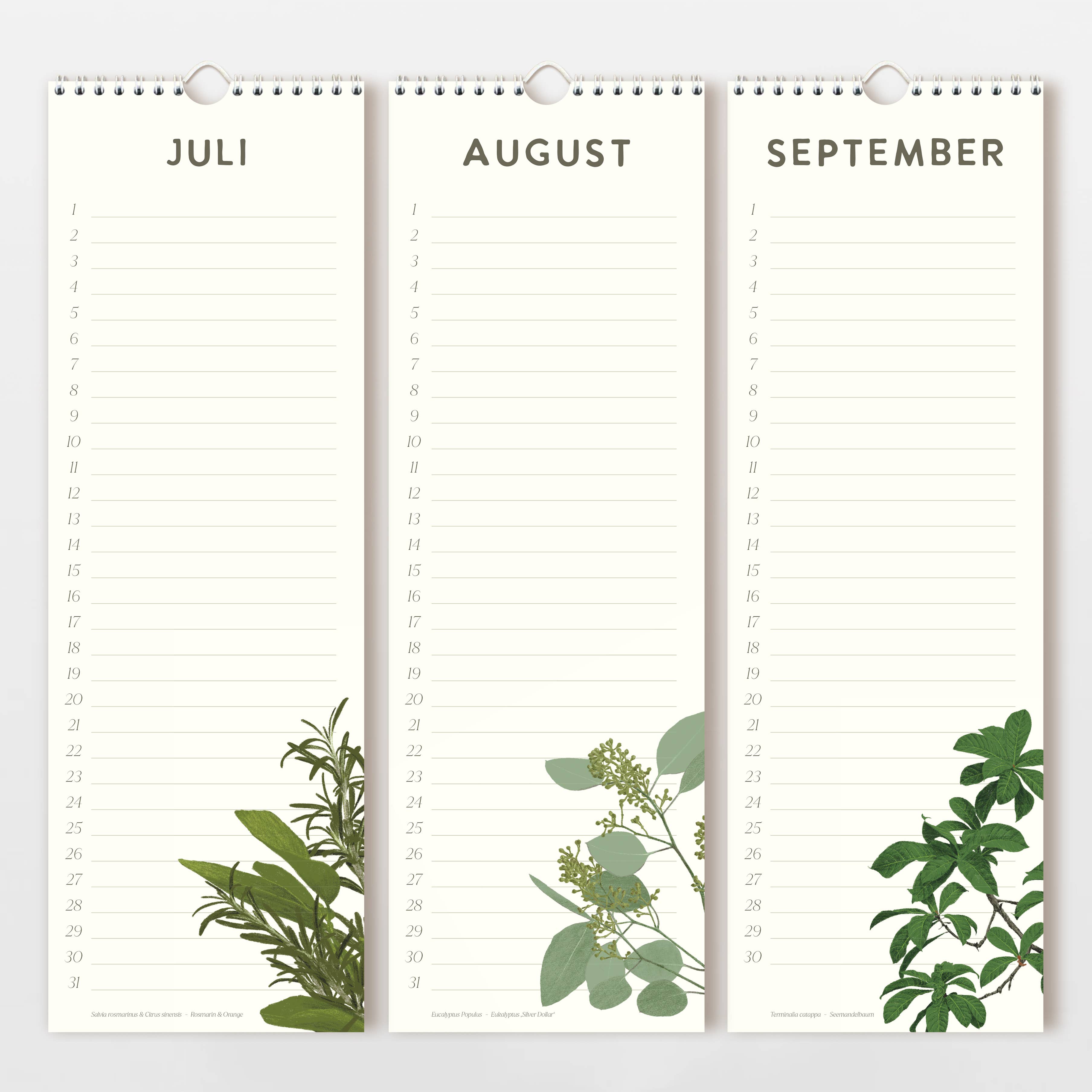 Wildblumen Atelier - Wholesale Calendar - Birthday calendar 15x44 cm hand-drawn flowers, FSC6