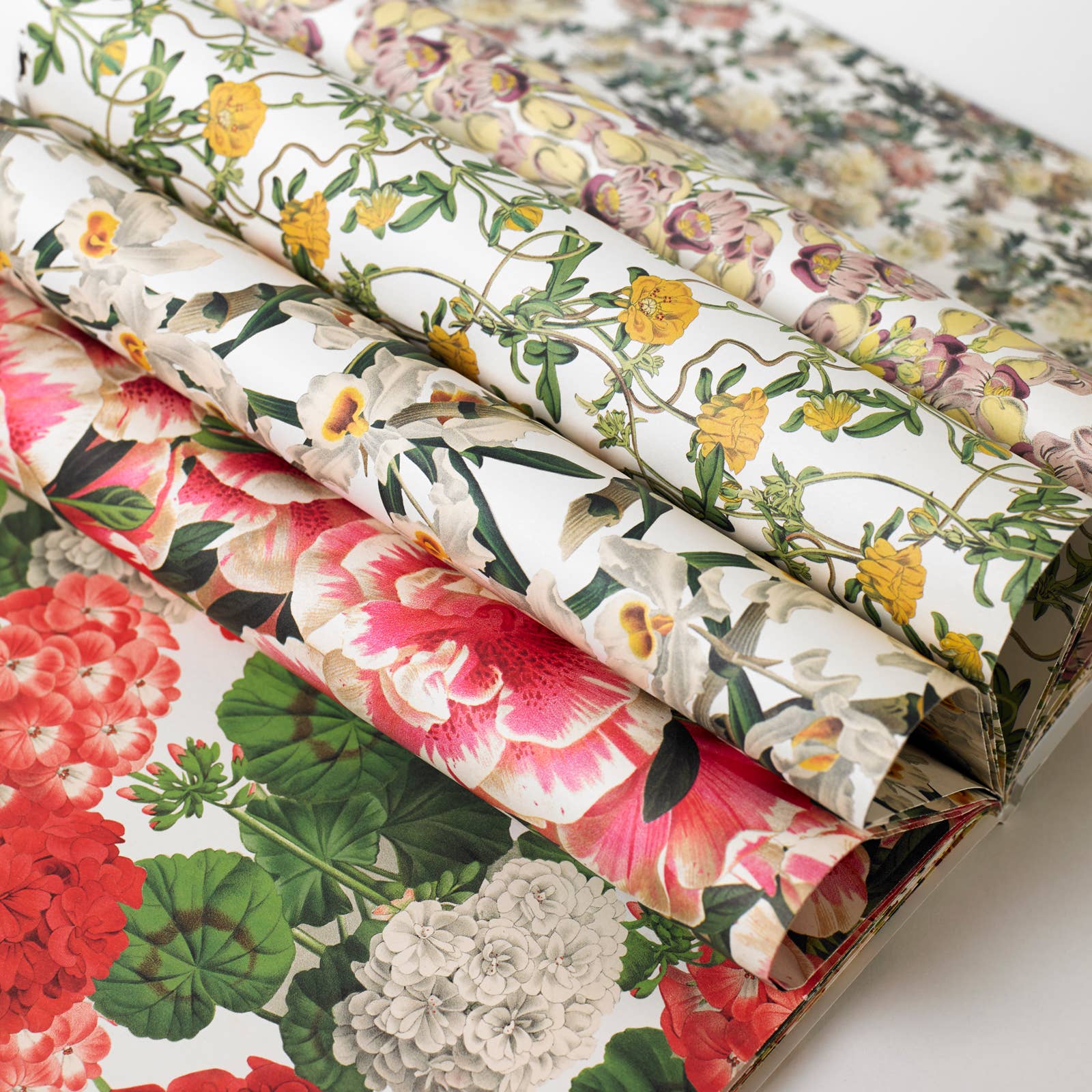 Pepin Press - Wholesale Flat Wrap - Flower Prints Gift & Creative Paper Book Vol 772