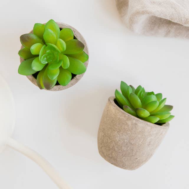 Mini Faux Potted Succulent for wholesale by Unboxme
