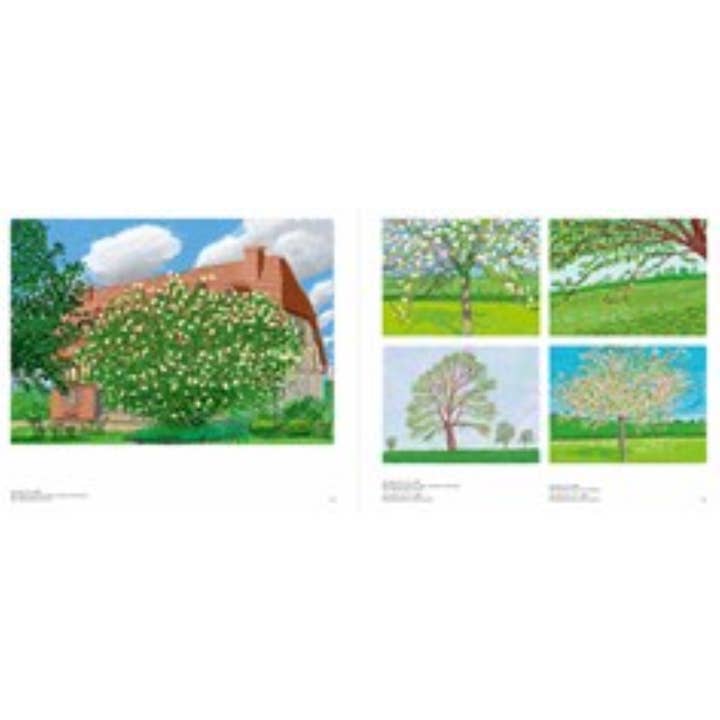 W. W. Norton - Wholesale Arts & Entertainment - David Hockney10