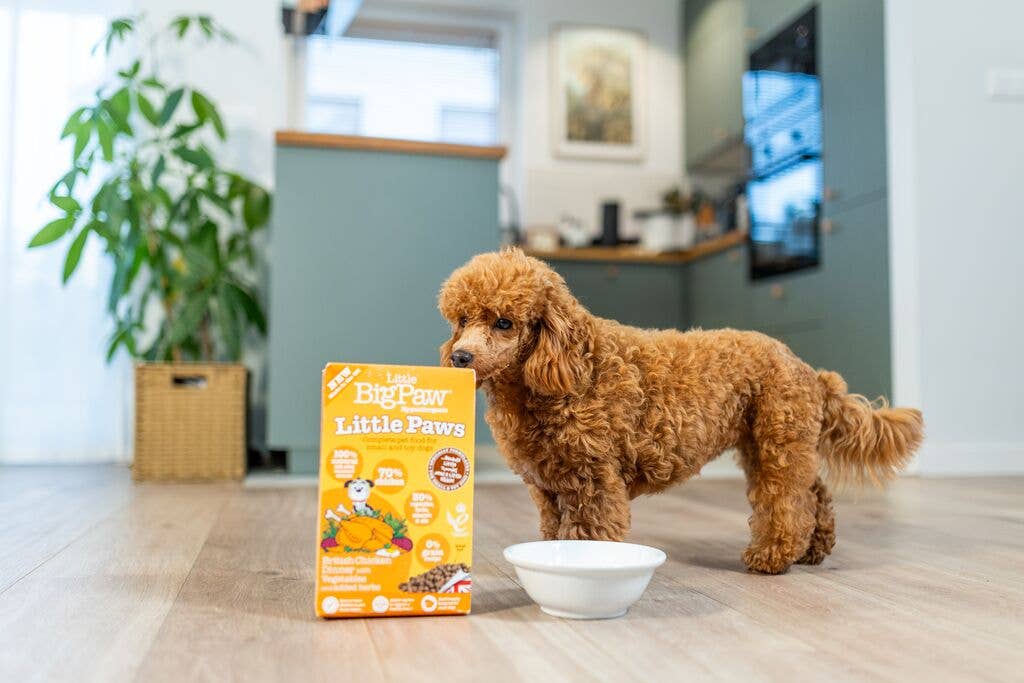 Little BigPaw – wholesale Pet treats – Dog – Little Paws British Chicken Complete dry food for Small Dogs 800g1