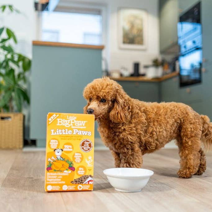 Little BigPaw – wholesale Pet treats – Dog – Little Paws British Chicken Complete dry food for Small Dogs 800g1