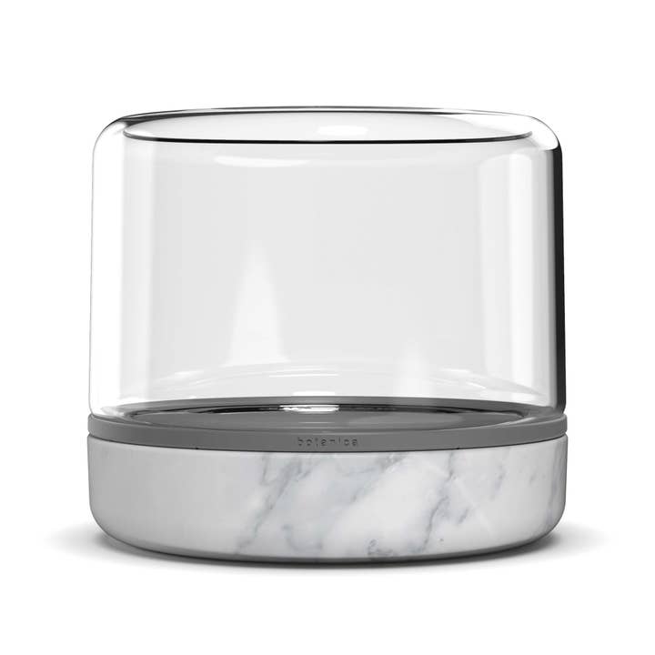 Botanica - Wholesale Terrarium - Temperate12