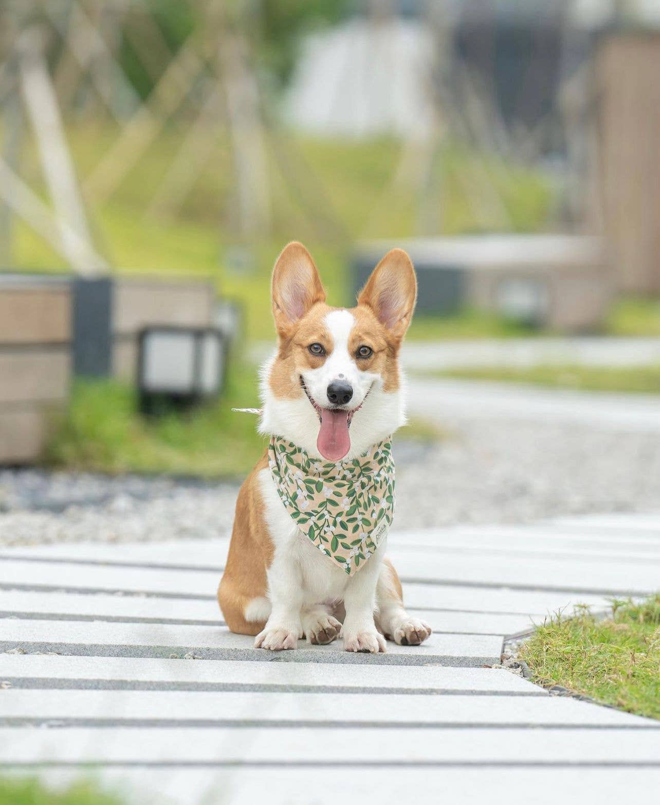 The Paws – Großhandel Haustier-Bandana – Hund – Grüne Beeren Hundebandana1