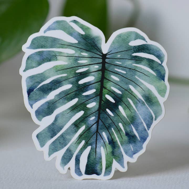Monstera Vinyl Decal / Sticker for wholesale by Salt Hippy