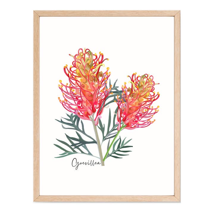 AGCP1000: Póster Flor de Grevillea para venta al por mayor de Australiana Gifts Co