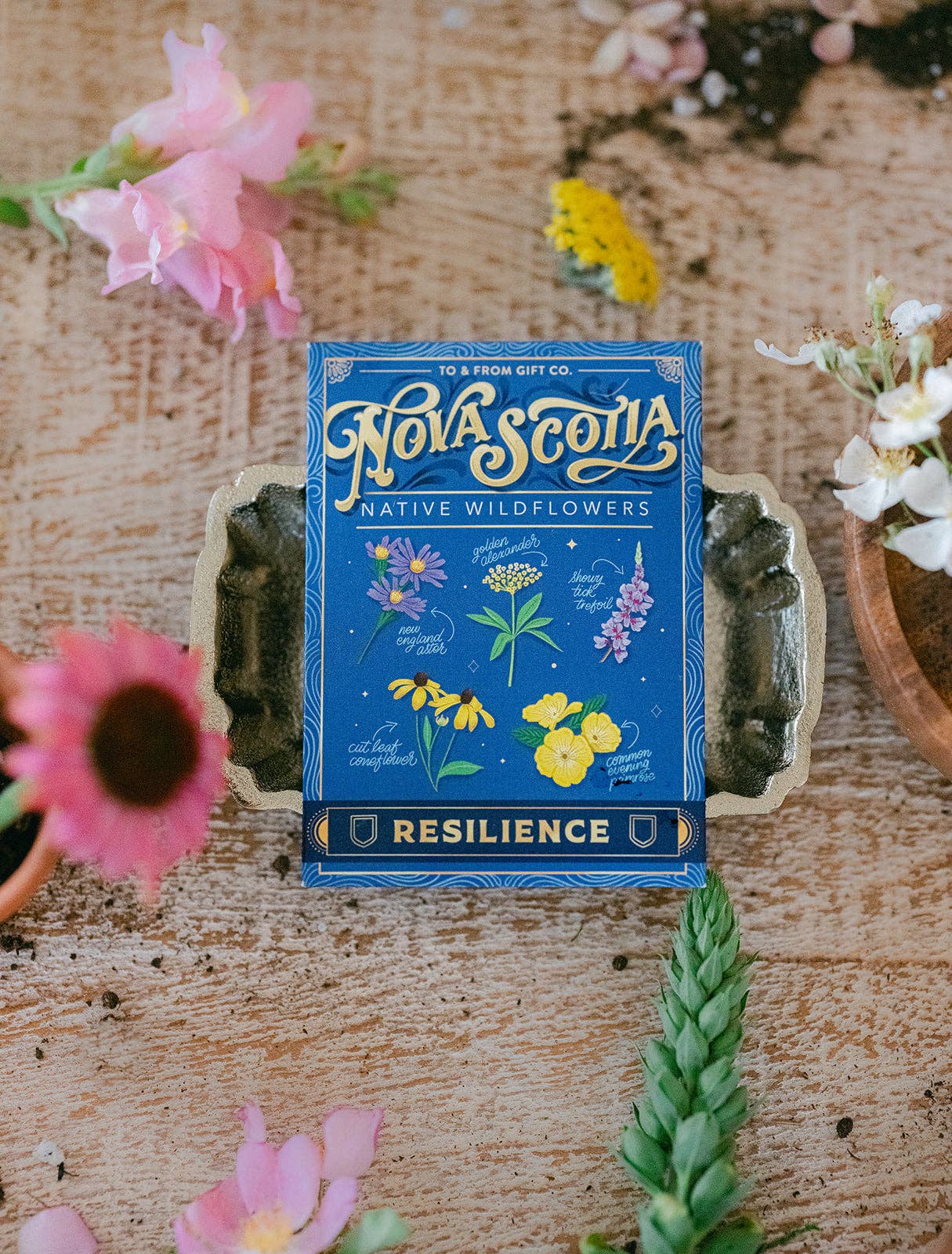 To & From Gift Co. - Venta al por mayor Semillas de plantas - Flores silvestres nativas de Nueva Escocia (resiliencia) - Paquete de semillas1