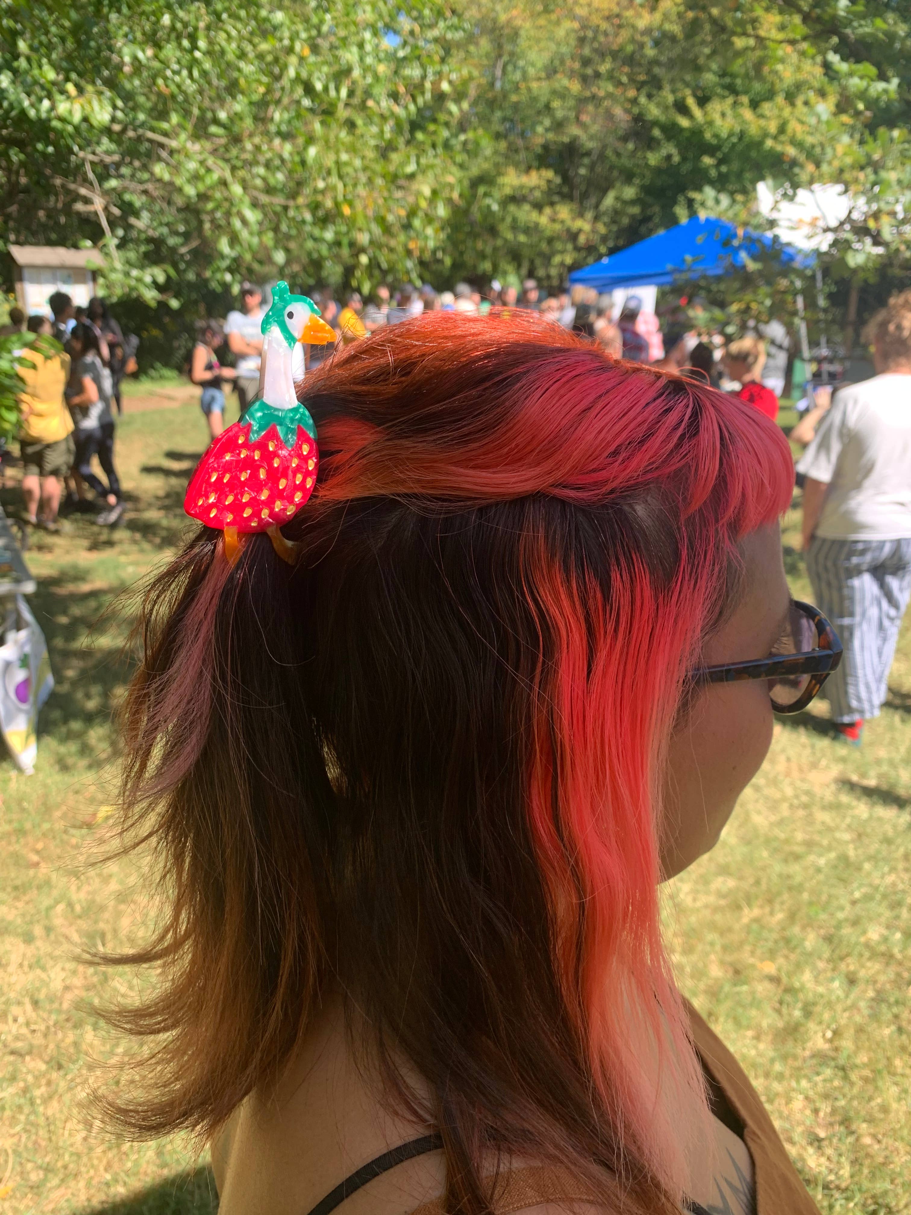 Not Picasso - Wholesale Hair Clip - Women's - Gooseberry Hair Claw3