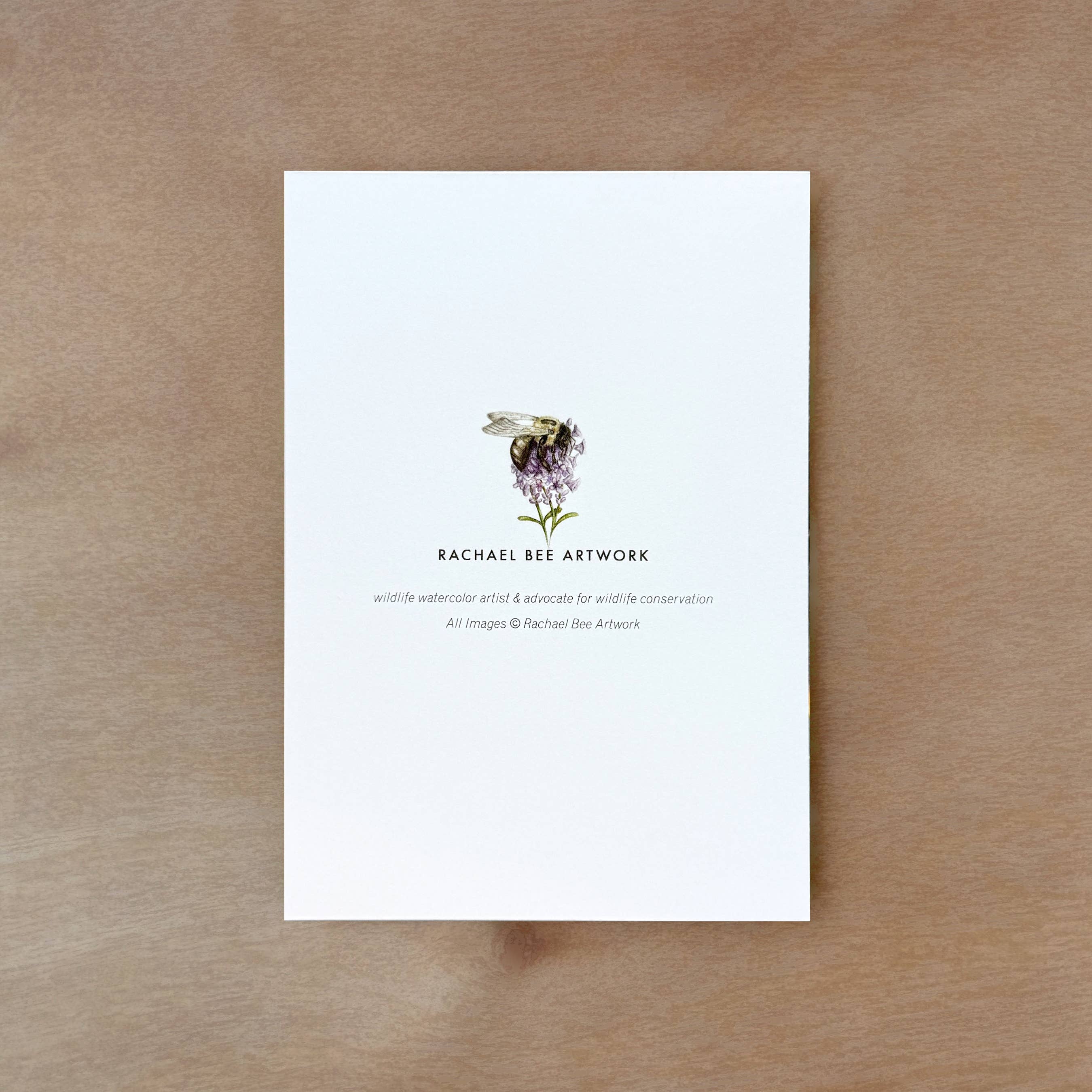 Rachael Bee Artwork - Wholesale Everyday Greeting Card - Periodical Cicada Greeting Card2