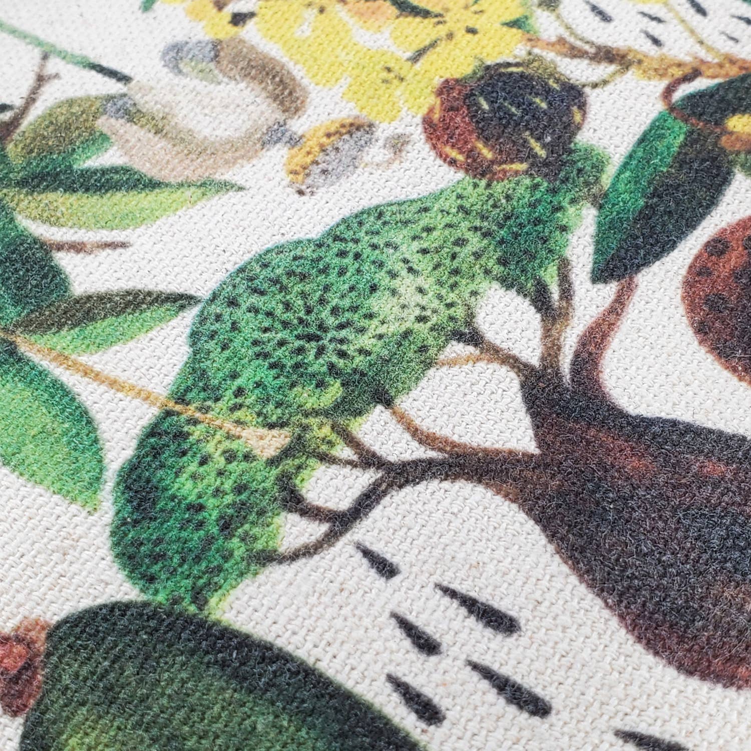 BV by Bruno Visconti - Wholesale Pouch - Women's - Pouch - Baobab1