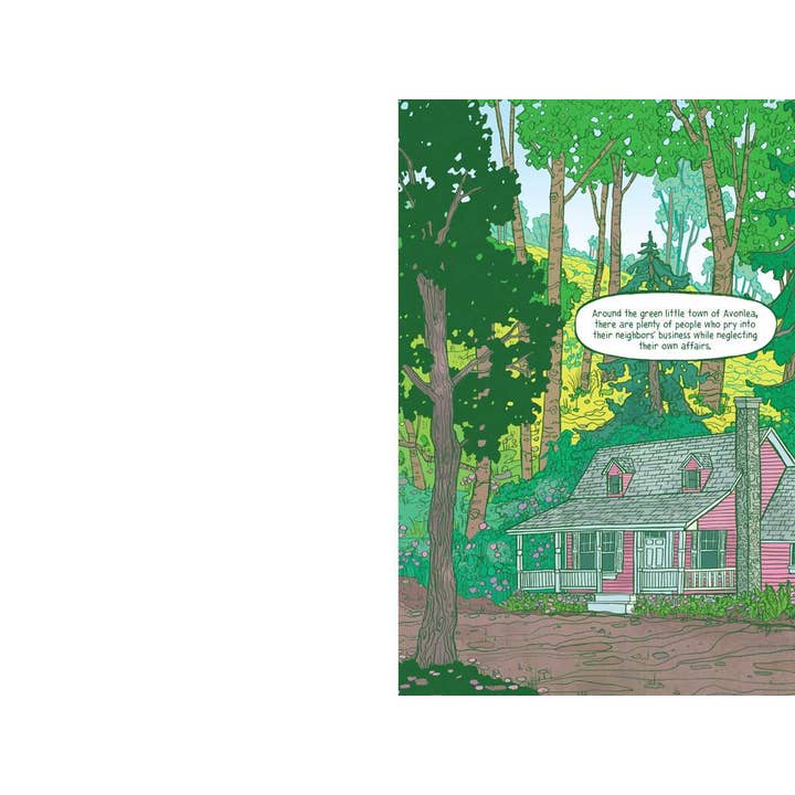 Simon & Schuster - Wholesale Graphic Novel - Graphic Novel Classics: The Secret Garden, Anne of Green Gables, and Heidi by Mariah Marsden2