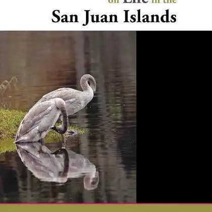 Books by splitShops - Wholesale Nature & Outdoors Book - Reflections on Life in the San Juan Islands - Paperback