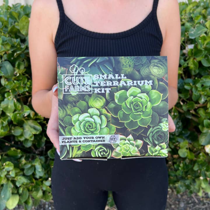 Cute Farms - Wholesale DIY Craft Kit - Small Terrarium Kit