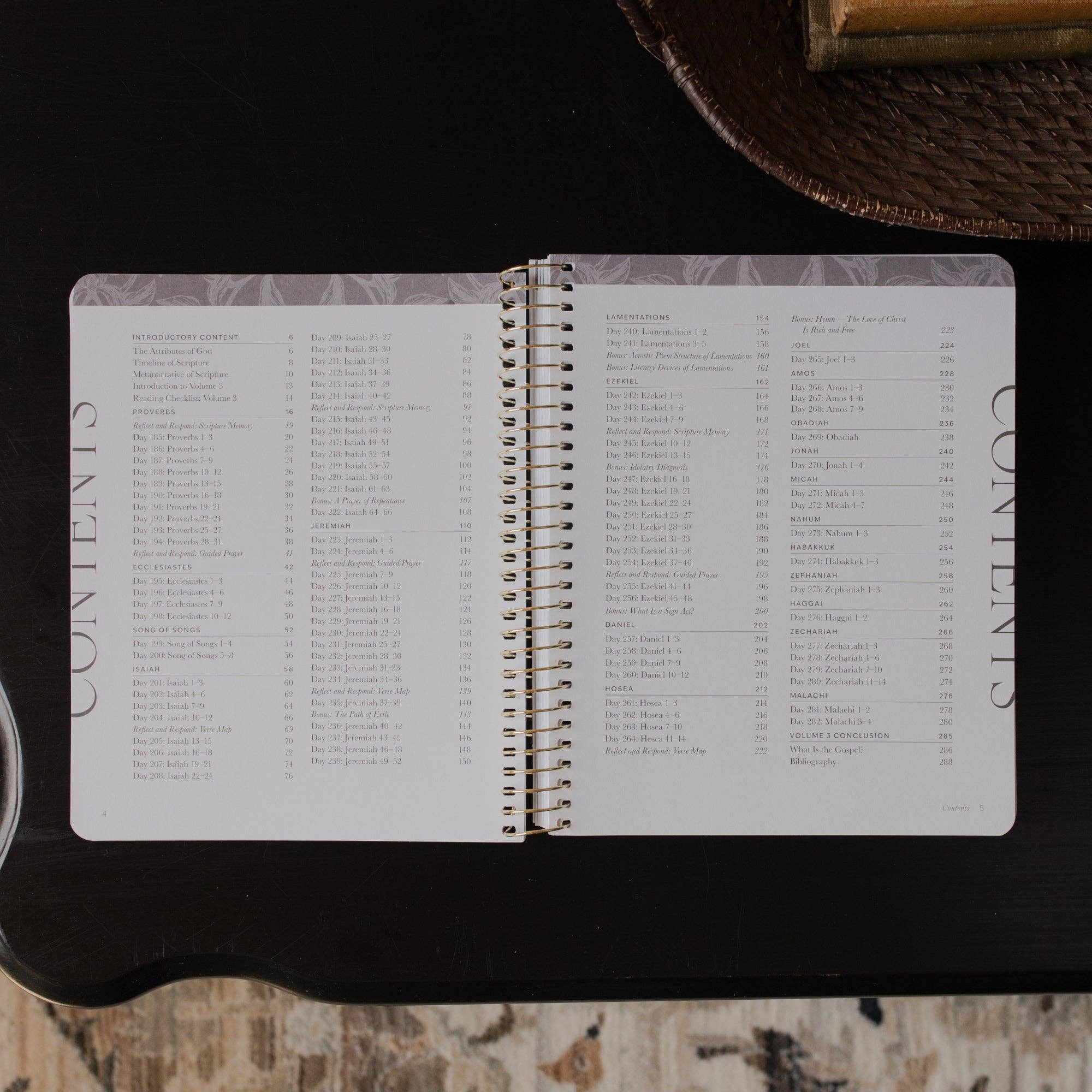 The Daily Grace Co - Vente Religion - Une année dans la Bible | 365 jours pour découvrir la beauté de Jésus de la Genèse à l'Apocalypse | Volume 31