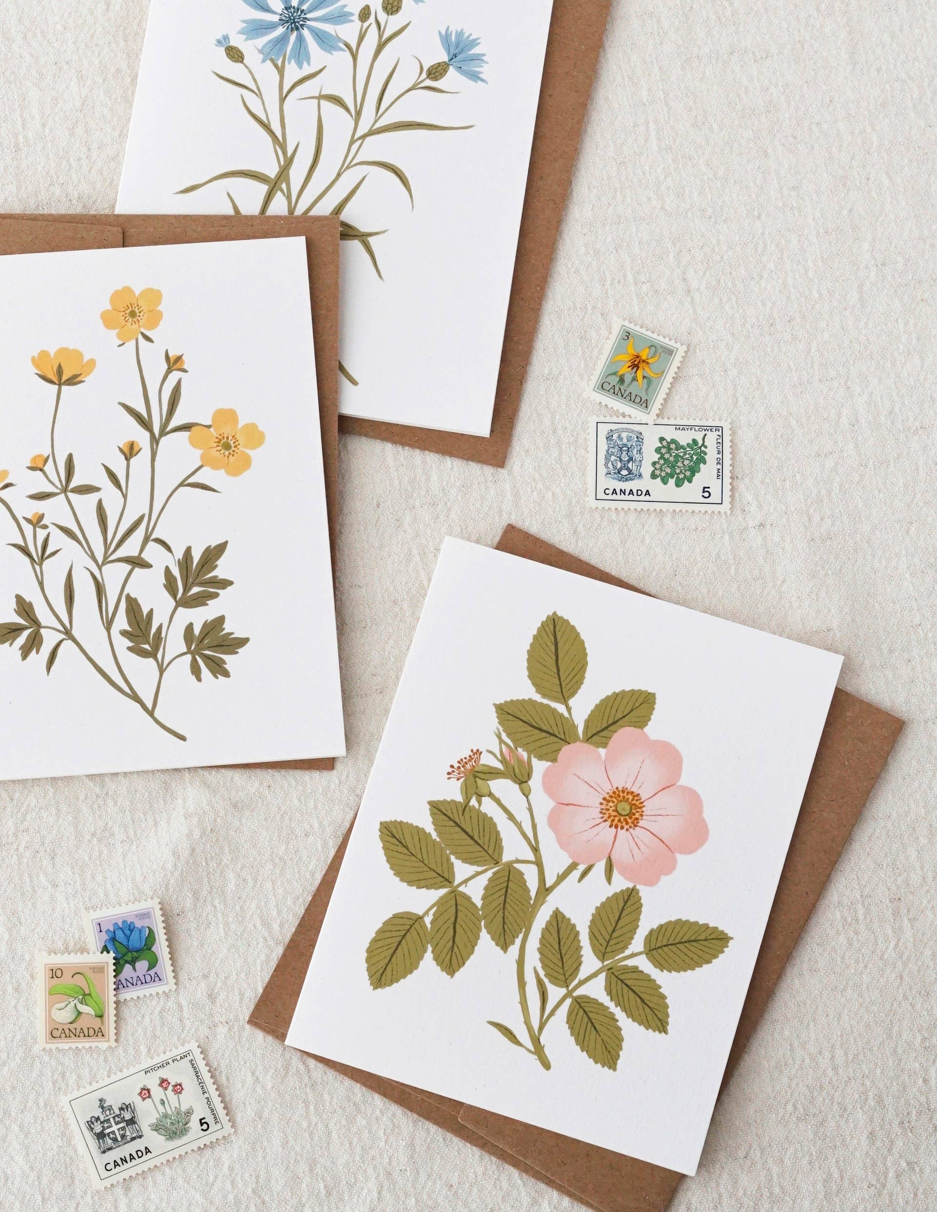 Papier Fleuri Co. - Wholesale Everyday Greeting Card - Buttercup | Greeting Card1