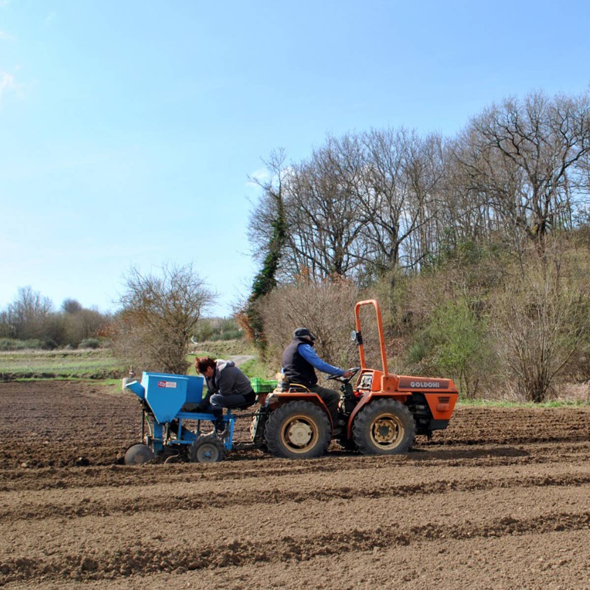 A.G.R. s.r.l. - Wholesale Beans - ORGANIC white chickpeas 400g. [EU only]2