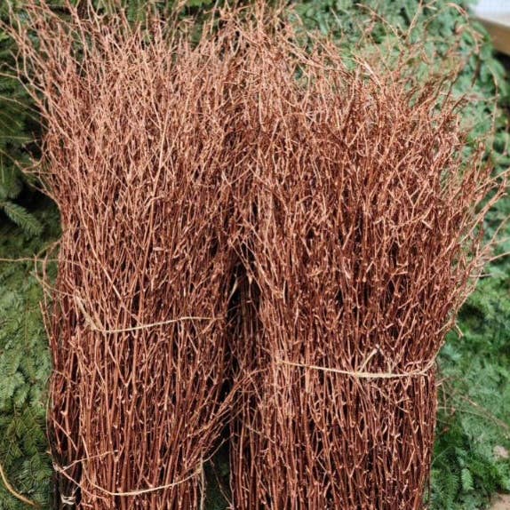 Northwoods Natural Accents - Wholesale Dried/Pressed Flowers - Copper Birch Branches 3'-4' (bulk bundles, 120 twigs)