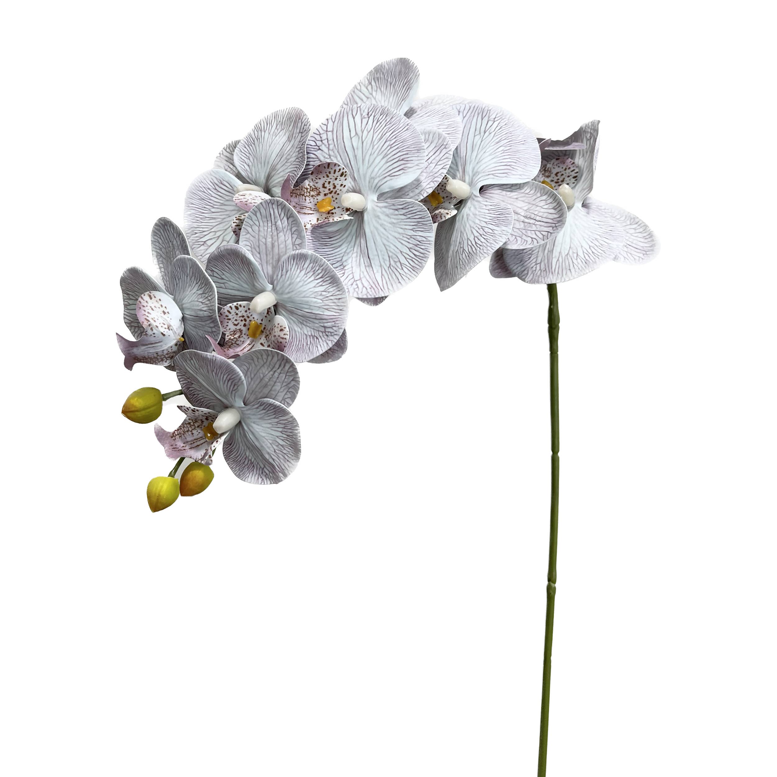 Angel Isabella - Wholesale Artificial Flowers - 36" Real touch Large bloom Phalaenopsis Orchid-9 Flowers10