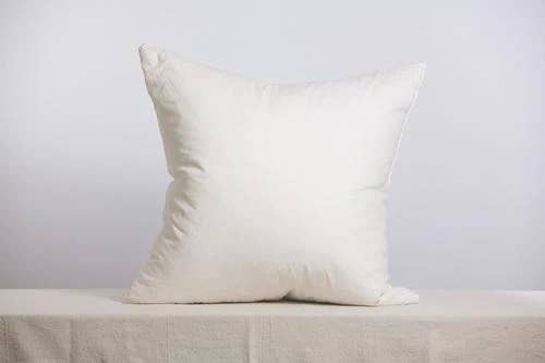 Ceae Shop - Wholesale Pillow Insert - 22x22 Pillow Insert