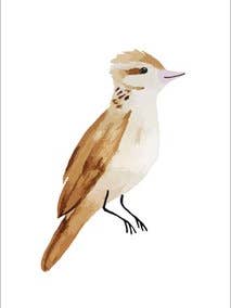 Postcard - Xenops for wholesale by Wander by Elise