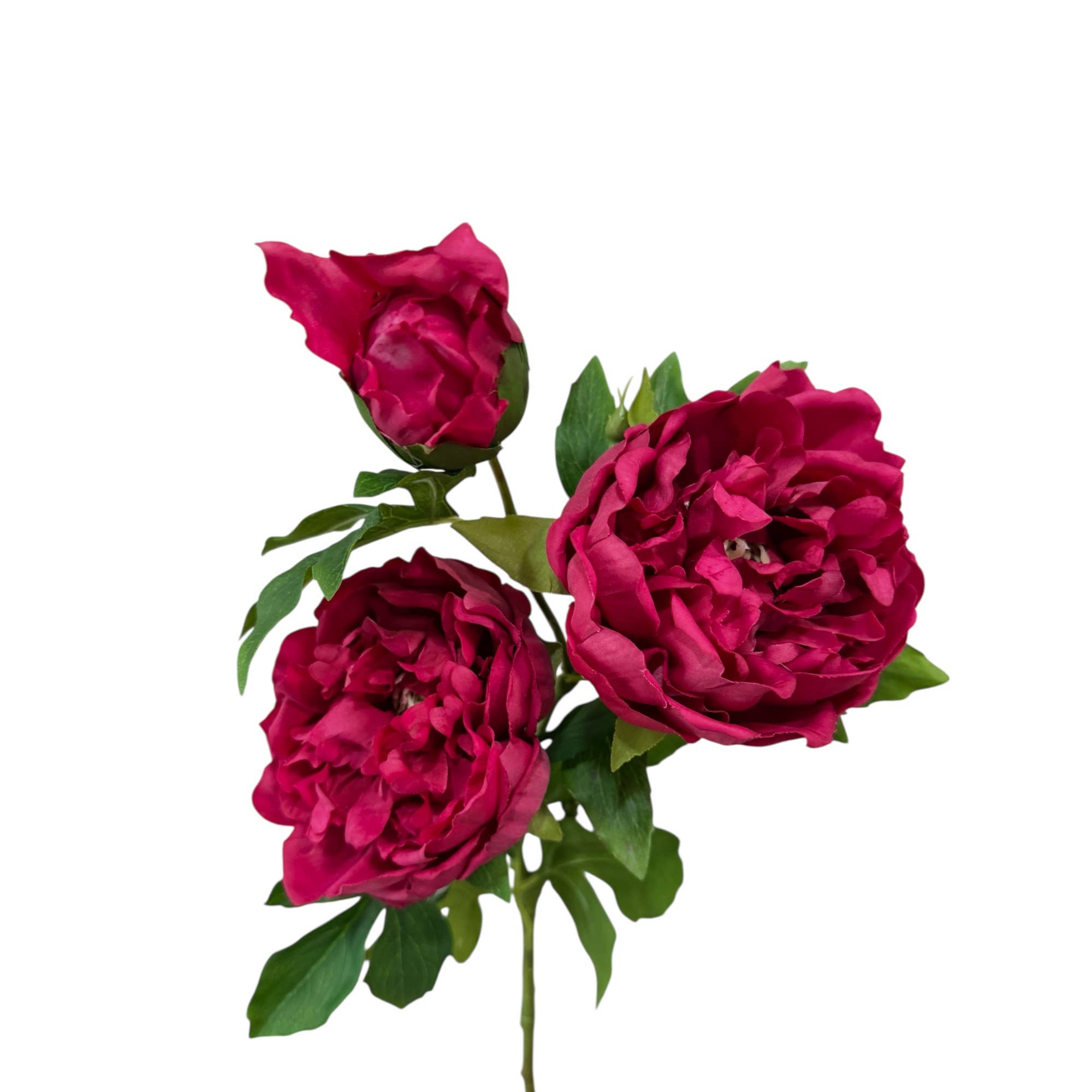 Angel Isabella - Wholesale Artificial Flowers - 32" Ultra Realistic Elegant Real Touch Artificial Peony0